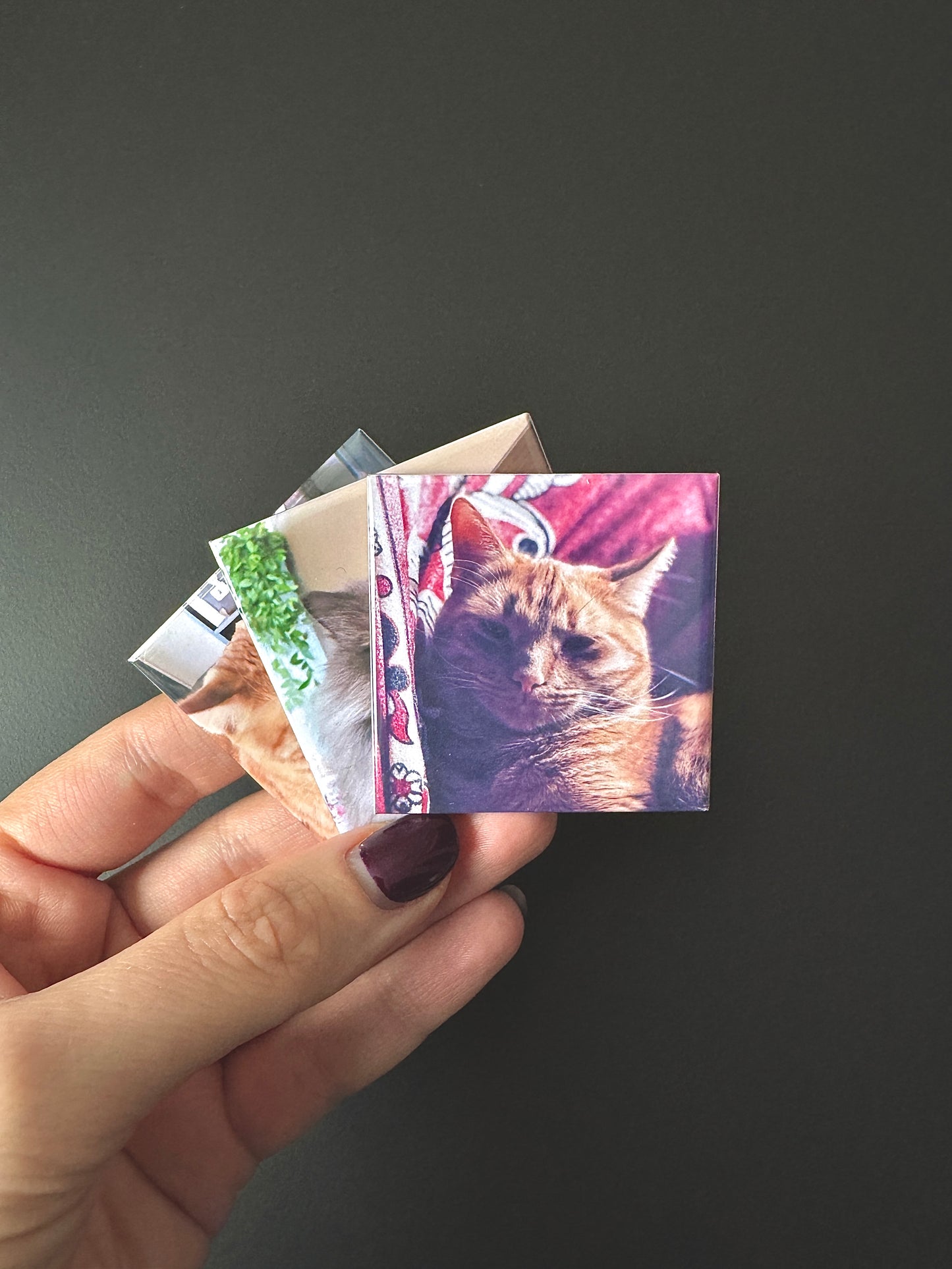 3 Personalizēti foto magnēti