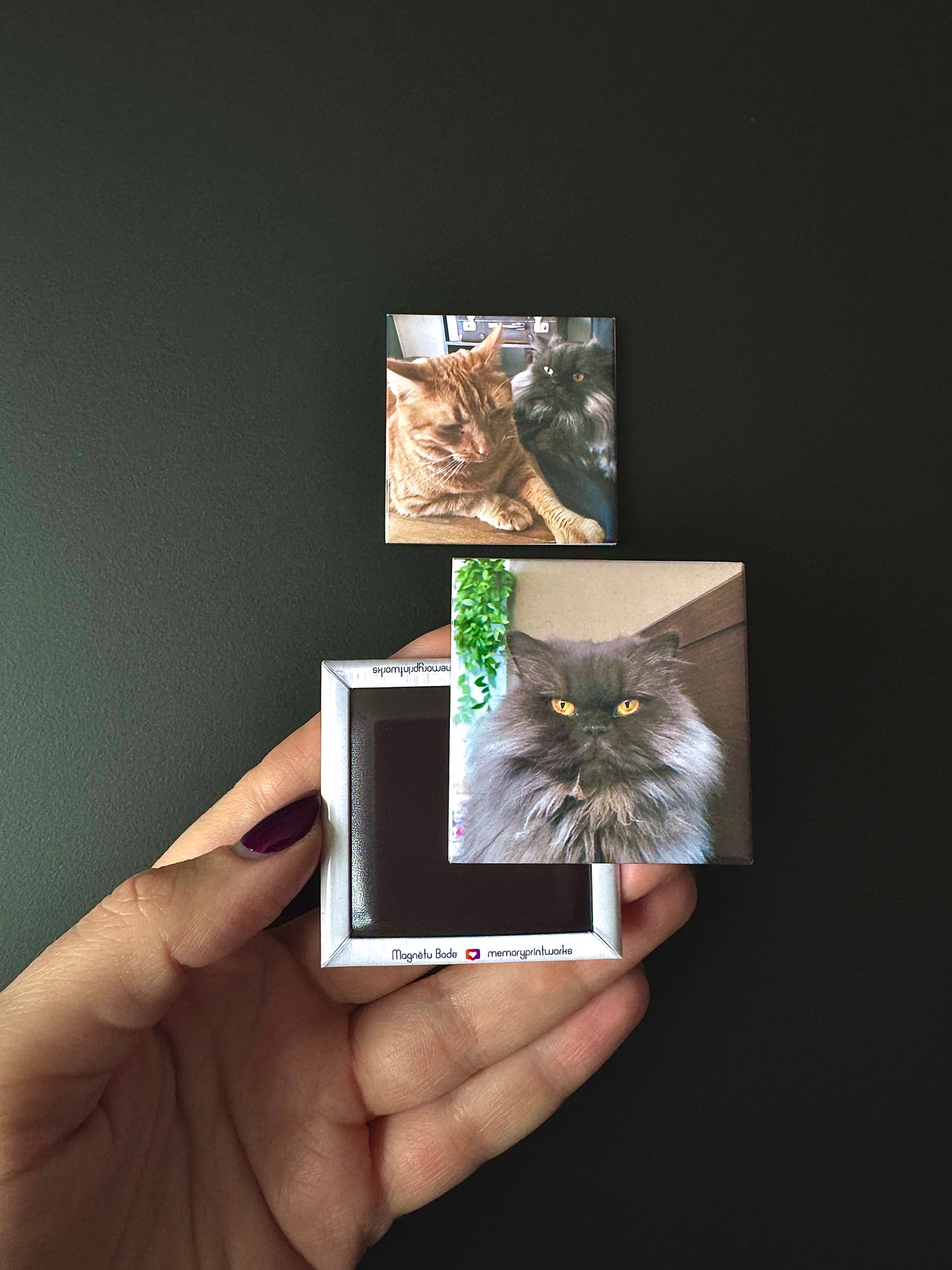 3 Personalizēti foto magnēti