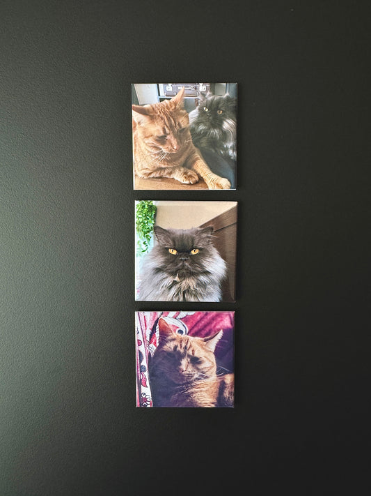 3 Personalizēti foto magnēti
